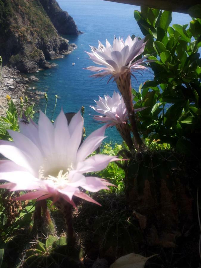 5 Terre For You Riomaggiore Exterior foto